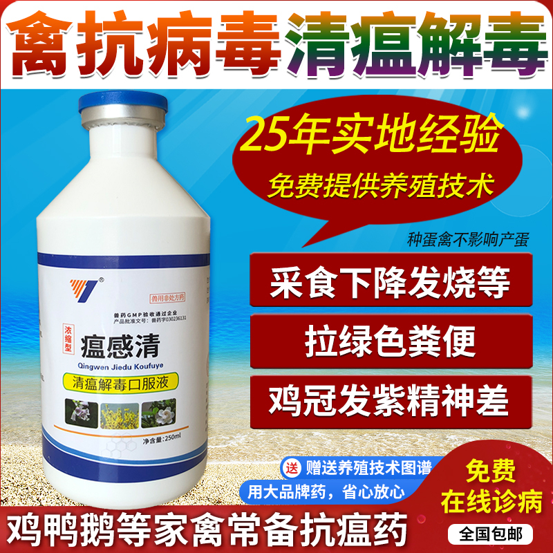兽药清瘟解毒口服液感冒流感新城疫抗病毒清热解毒鸭鹅鸡药瘟感清